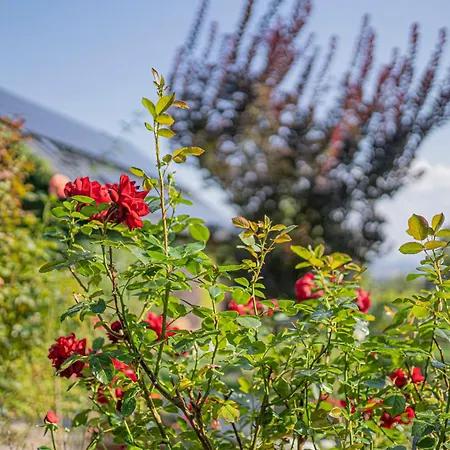 Apartamento Dom Ogrodnika
