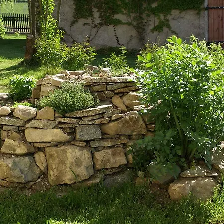 Διαμέρισμα Dom Ogrodnika