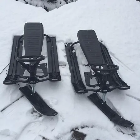 Dom Ogrodnika Διαμέρισμα